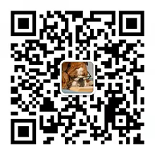 扫描二维码